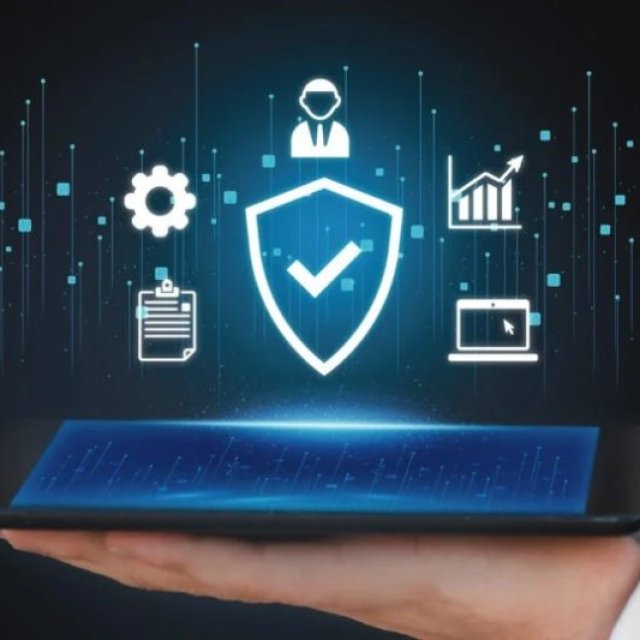 Shielding Small Business: The Role of Insurance in Cyber Defense Enhancement