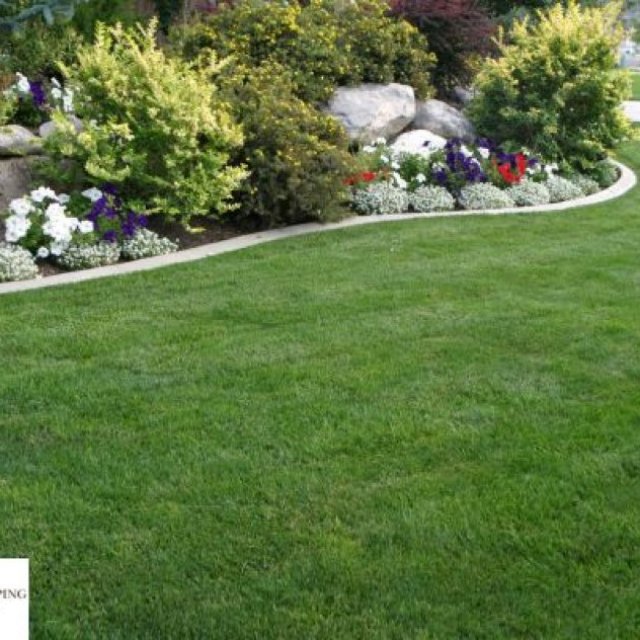 Prime Landscaping Solutions