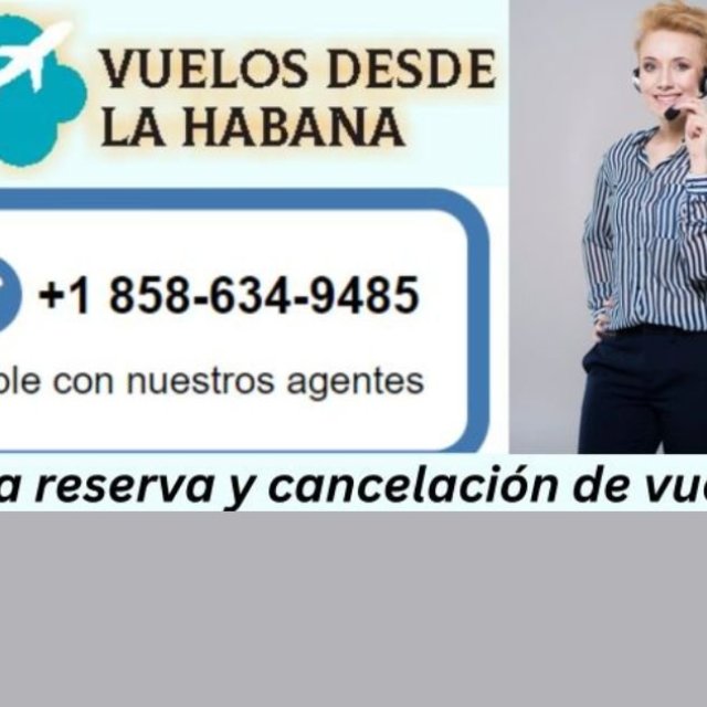 united airlines santo domingo teléfono - # 858 634 9485 (OTA) Guía