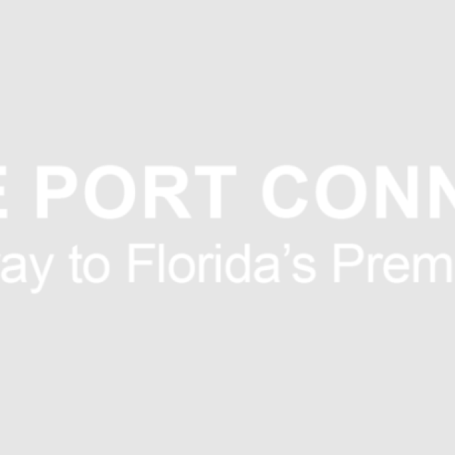 Cruise Port Connections