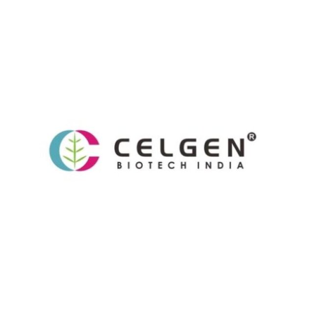 Buy the Finest Tissue Culture Plants Online at Celgen Biotech