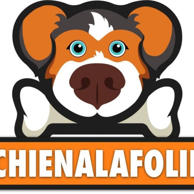 chienalafolie