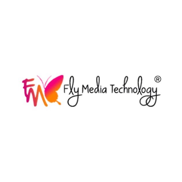 Flymedia Technology | Best Website Development in Punjab