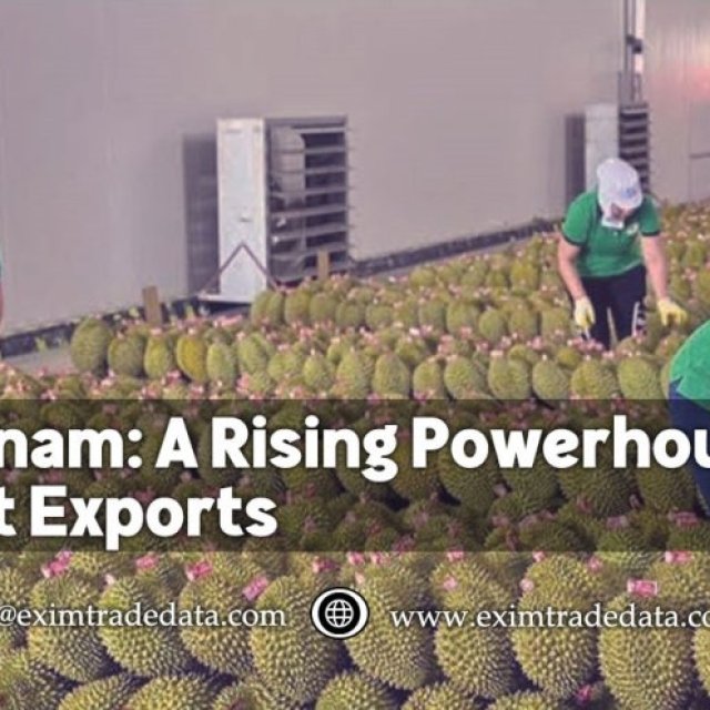 Vietnam: A Rising Powerhouse in Fruit Exports