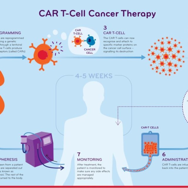 CAR T-Cell Therapy Costs: Accessibility, and Affordability, Netherlands