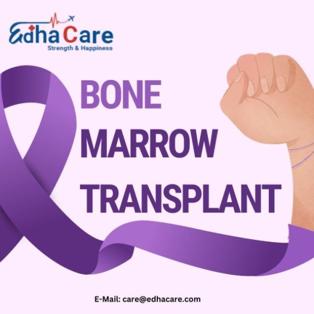 Best Cost Of Bone Marrow Transplant In Ogun State, Nigeria