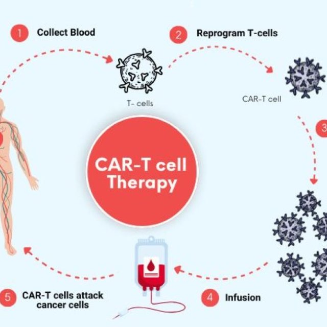 A Novel Approach to Immunotherapy for the Treatment of Cancer- Chimeric Antigen Receptor T-Cell Therapy