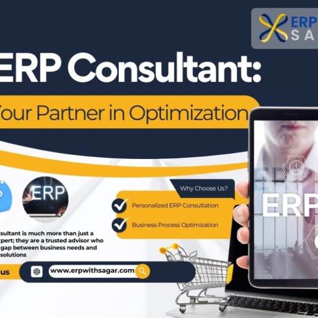 ERP Consultant: Your Partner in Optimization | erpwithsagar.com