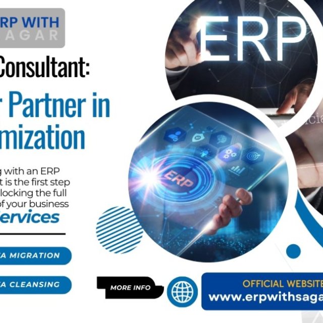 ERP Consultant: Your Partner in Optimization | erpwithsagar.com