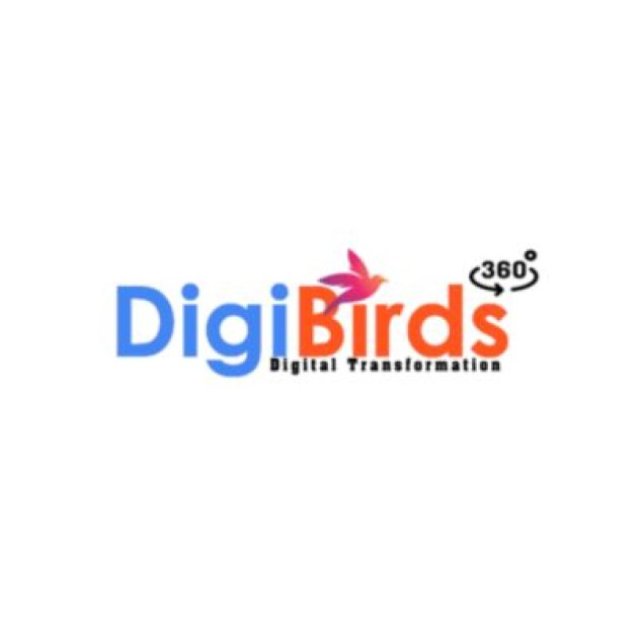 DigiBirds360: Performance Marketing Agency