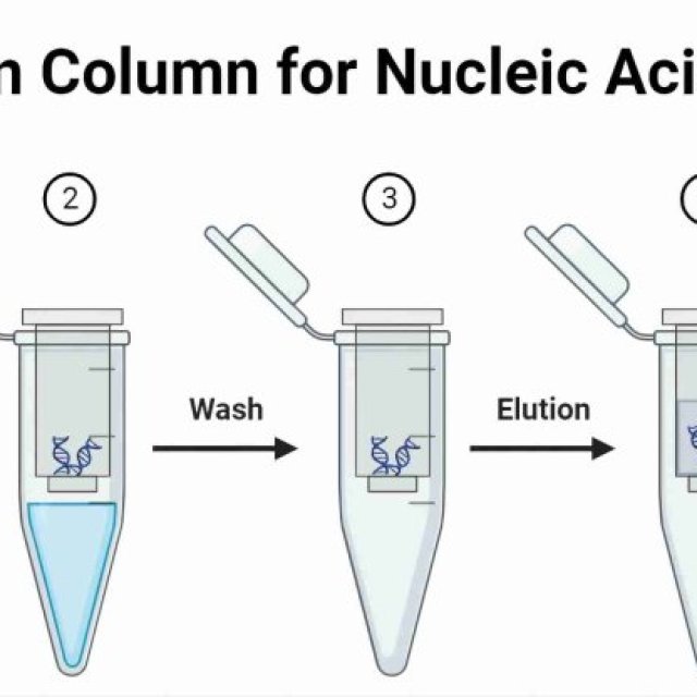 Silica Spin Column for Nucleic Acid Extraction