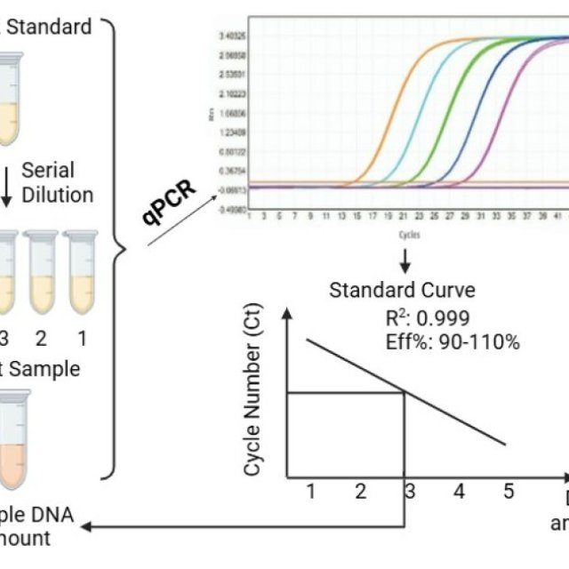 New Insect Nucleic Acid Residue Assay Kits for Enhanced Quality Control