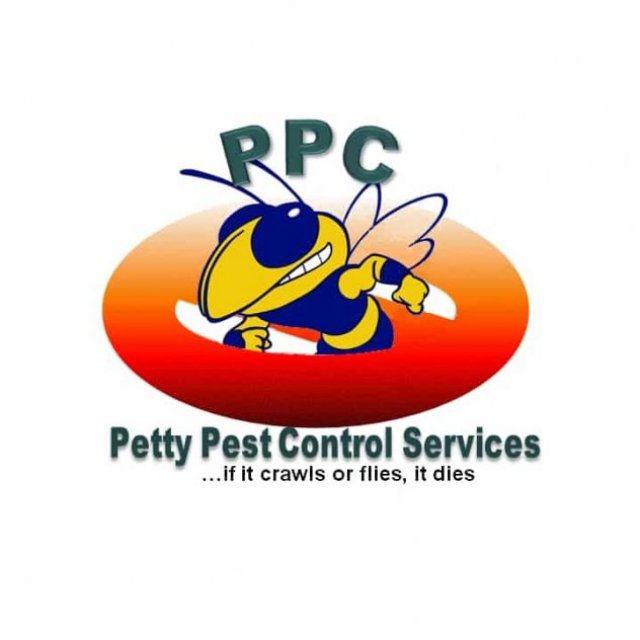 Bed Bug Heat Procedure Around Brantford