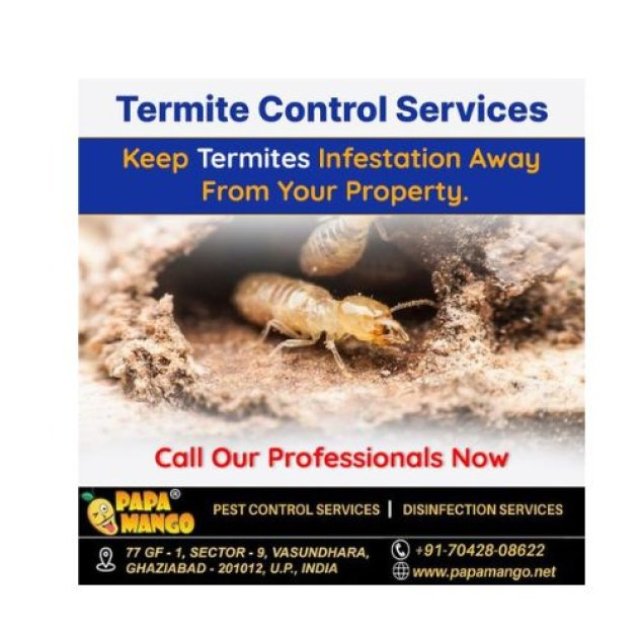 Reliable Termite Control Services