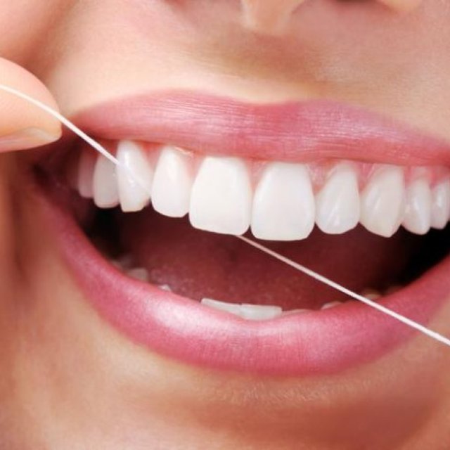 Biodegradable Floss Picks | Sustainable Vegan Dental Flossers - Smartlifeco.com - SmartLifEco