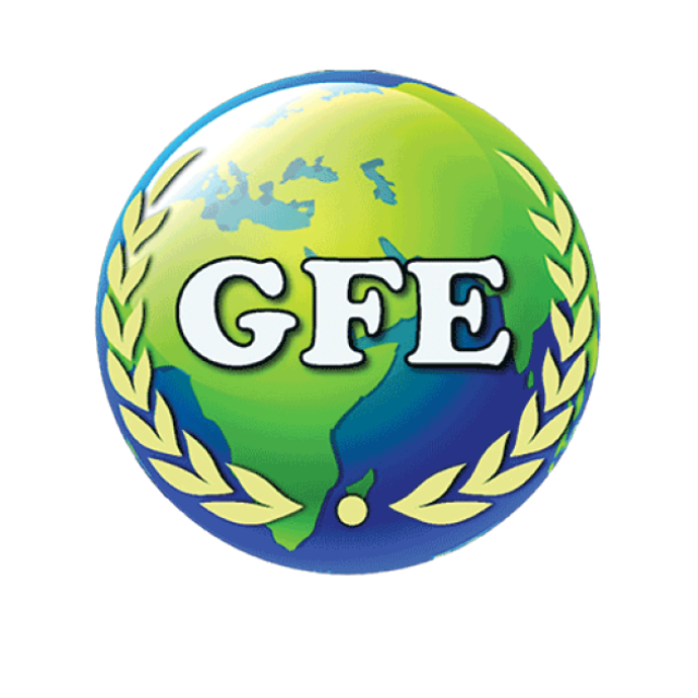 GFE Business Services Pvt. Ltd.