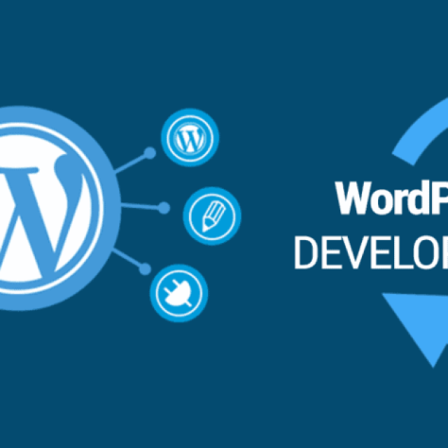 Wordpress Developer