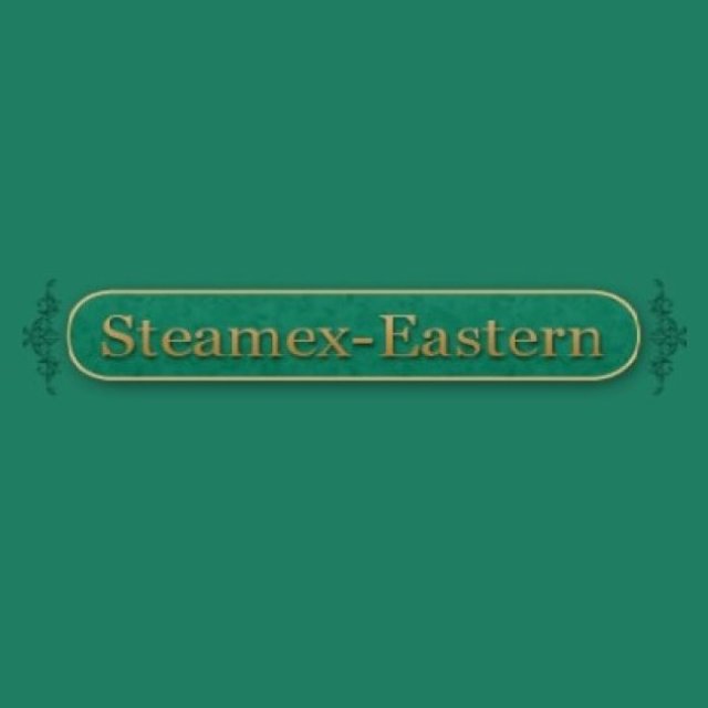 Steamex Eastern of Toledo