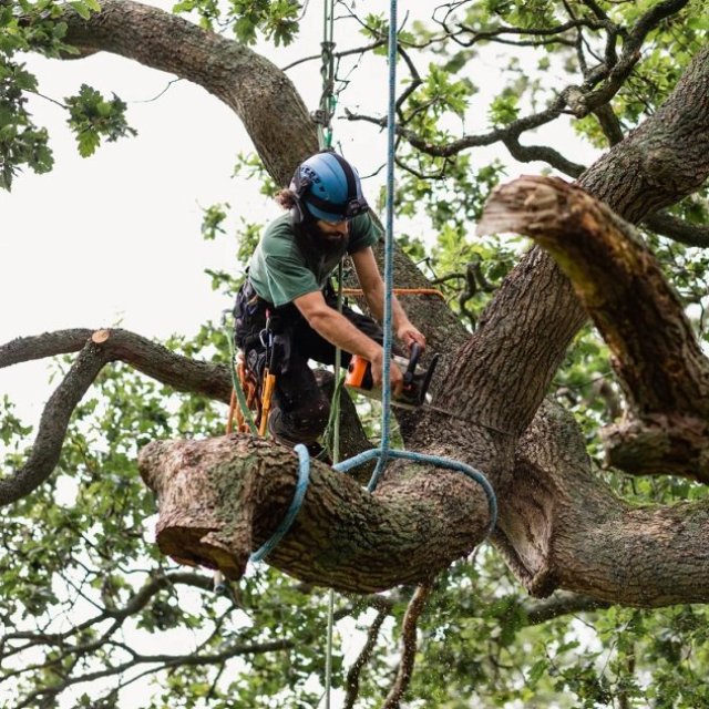 SA Tree Recyclers