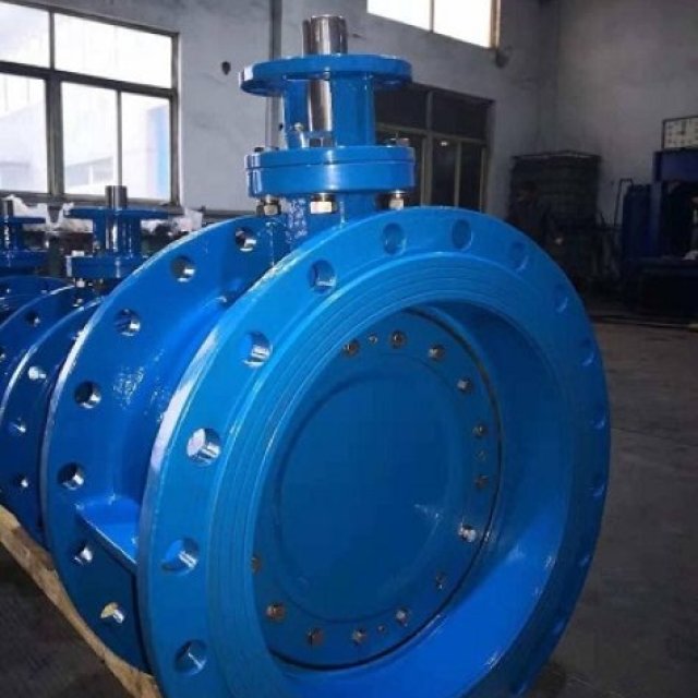 Double Offset Butterfly Valve Manufacturer in USA