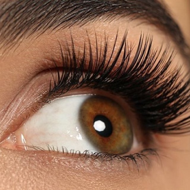 Captivate Lashes