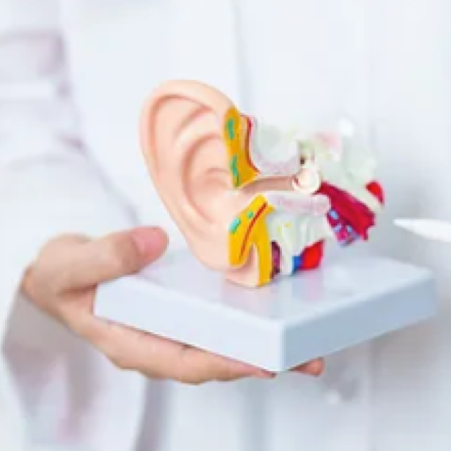 Ear Wax Solution - Horley