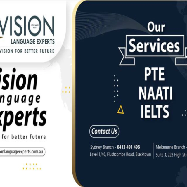 Vision Language Experts