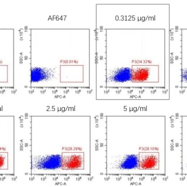 Anti-Chimeric Antigen Receptor Linker Antibodies for Streamlined CAR Detection