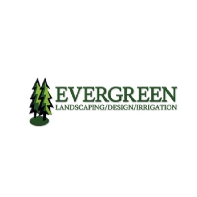 Evergreen irrigation