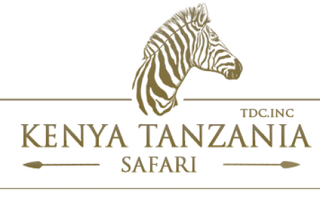 Kenya Safaris